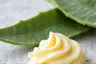 Aloe vera plant and shea butter