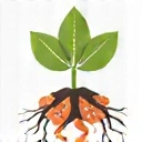 An icon representing Ashwagandha, symbolizing stress reduction and energy.